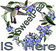 sweetpea64161242's Avatar